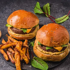 recette hamburer friteuse actifry genius